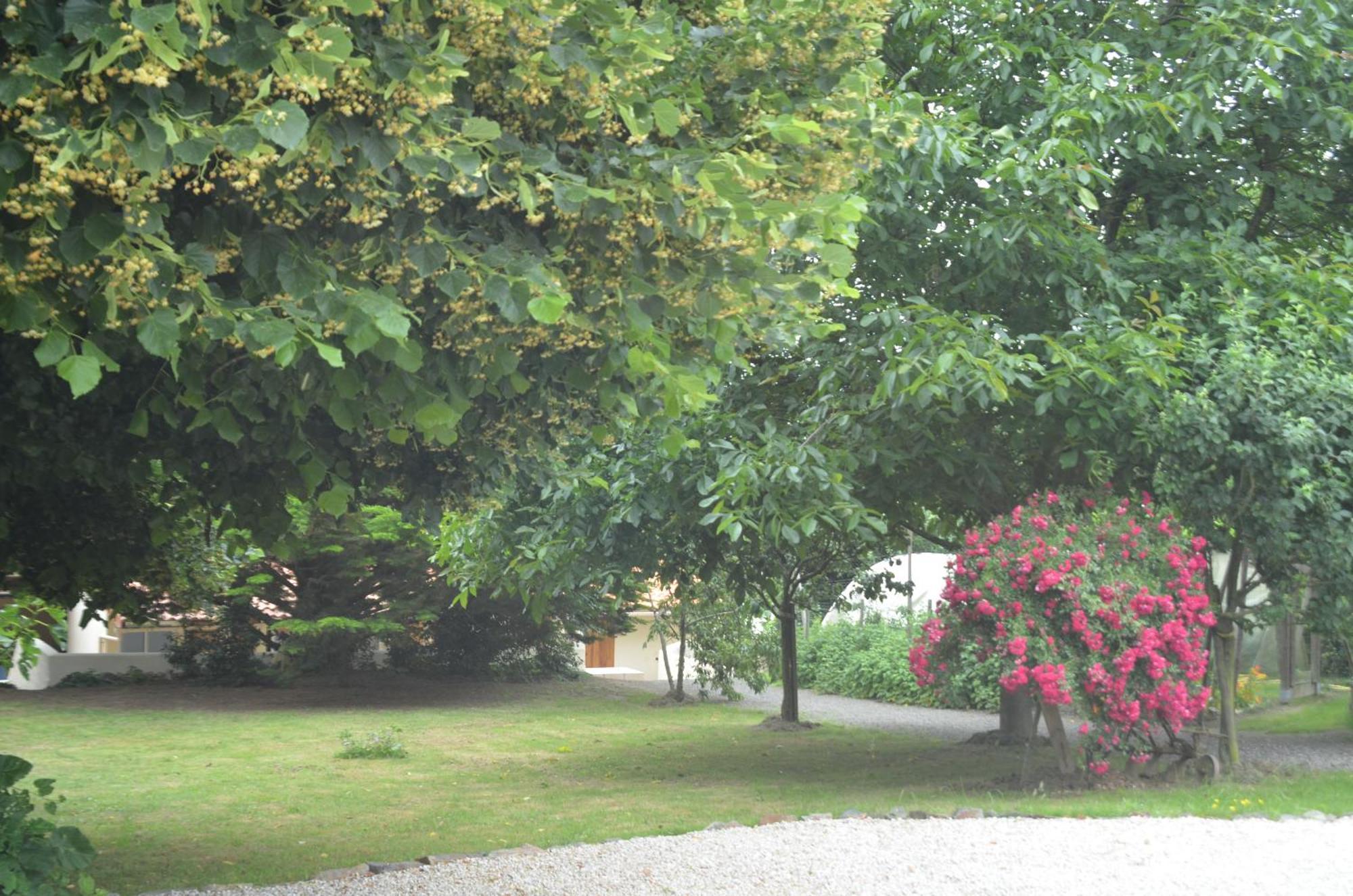 Chambres d'Hôtes La Forterie Vairé Exterior foto